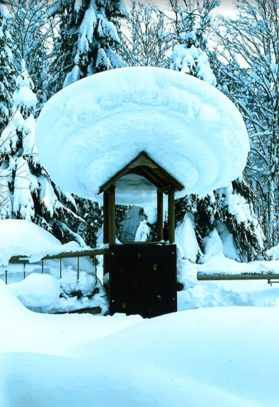 Merryshof Sankt Ulrich am Pillersee Esterno foto