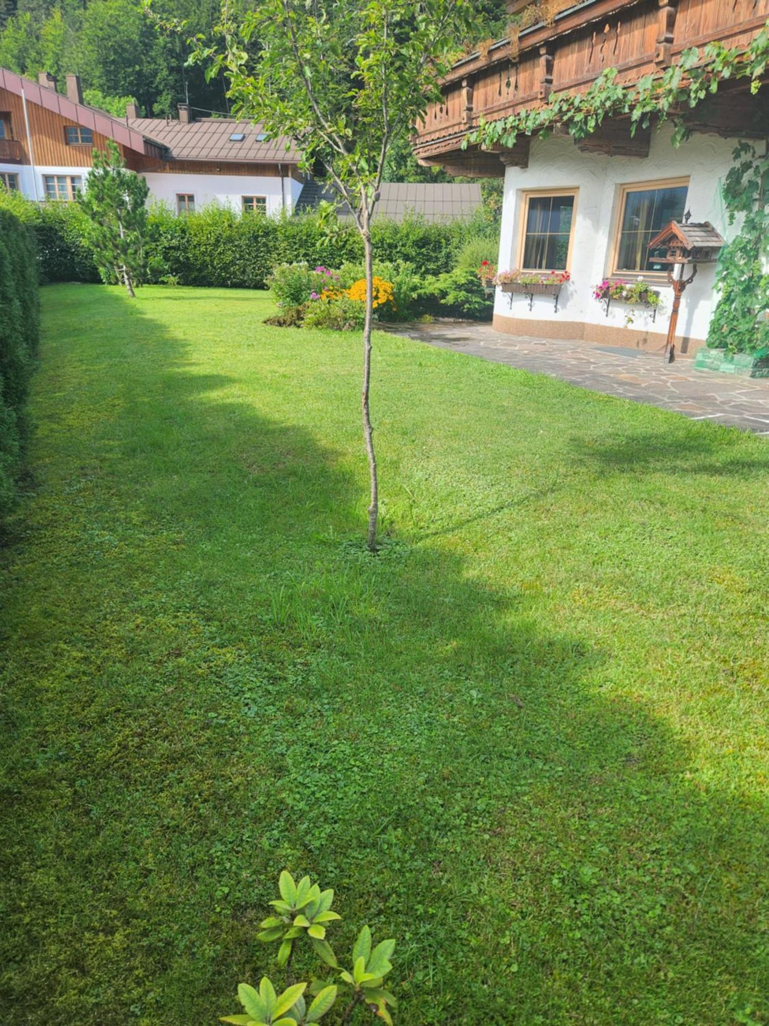Merryshof Sankt Ulrich am Pillersee Esterno foto